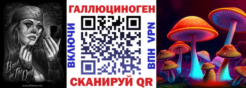 хочу   Черепаново  KRAKEN ТОР  Галлюциногенные грибы Magic Shrooms 